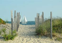 Image result for Cape Cod Beach