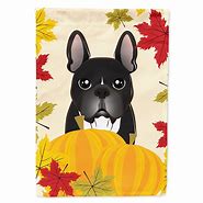 Image result for French Bulldog Thanksgiving