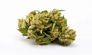 Image result for Joker Strain