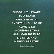 Image result for Thankful to Be Alive Quotes