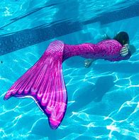 Image result for Mermaid Tail Adult Swim