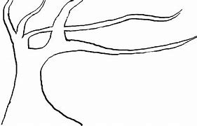 Image result for Tree Outline