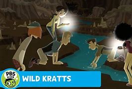 Image result for Wild Kratts Sleep