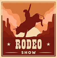 Image result for Bell Rodeo Flyer