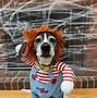 Image result for Cujo Costume for Dog