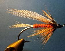 Image result for Fly Fishing Flies Sport