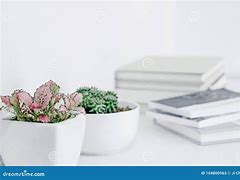 Image result for Book Plant Pot