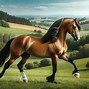 Image result for Splash Welsh Pony