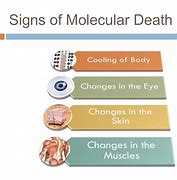 Image result for Pulmonary Embolism Post-Mortem Changes