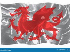 Image result for Welsh Dragon USA Flag