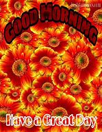 Image result for Good Morning Orange Flowers