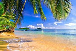 Image result for Tropical Beach 4K