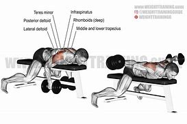 Image result for Lying Dumbbell Press