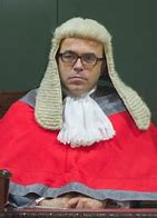 Image result for Judicial Wig