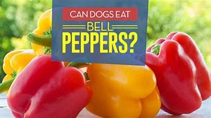 Image result for Frozen Bell Peppers for Dogs