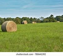 Image result for Hay Field