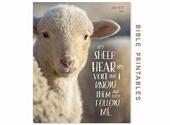 Image result for Sheep Hear My Voice