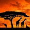 Image result for Kenia