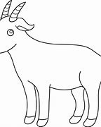 Image result for Brown N White Male Goat