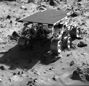 Image result for Human Holding a Pathfinder Mars Rover