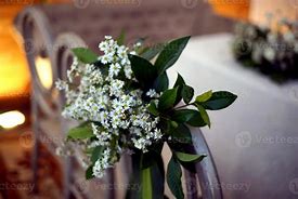 Image result for White Aster Pot