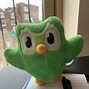 Image result for Duolingo Golden Owl