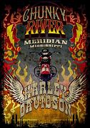 Image result for Harley-Davidson Designs to Print