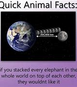 Image result for World Facts Memes