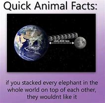 Image result for Unbelievable Facts as Memes