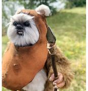 Image result for Ewok Doll