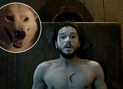 Image result for Jon Snow Wolf