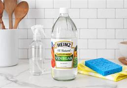 Image result for Vinegar Low-Tech