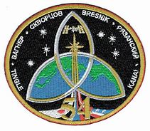 Image result for Wb58 NASA Patch