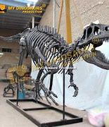 Image result for Giant Skeleton Brazil Museum