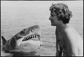 Image result for Steven Spielberg Jaws