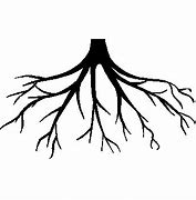 Image result for Roots ClipArt