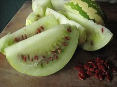 Image result for Citron Melon