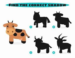 Image result for Animal Shadow Drawing