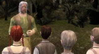 Image result for Dalish Elves