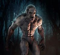 Image result for Werewolf Dog Art