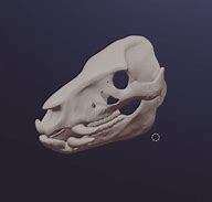 Image result for Skull Mask STL