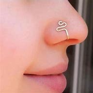 Image result for Nose Rings Fun