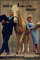 Image result for Mr. Ed Skateboard