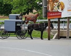 Image result for Old Order Amish