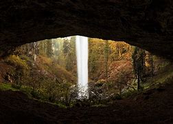 Image result for Waterfall Cave Forest