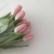 Image result for Cute Pastel Pink Aesthetic Flowers