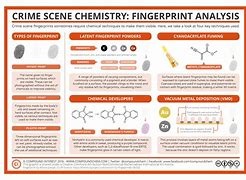 Image result for Forensics Crime Scene Fingerprints