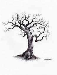 Image result for Tree Pencil Clear Sketch