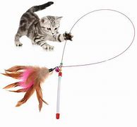 Image result for Feather Wand Toy