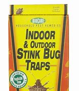 Image result for Stink Bug Catcher